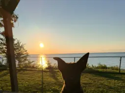 K-9 Bane Joins the Timberlake, Ohio Force